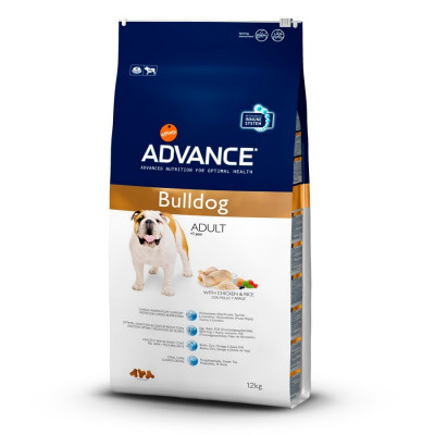 Advance Bulldog Inglés Adult