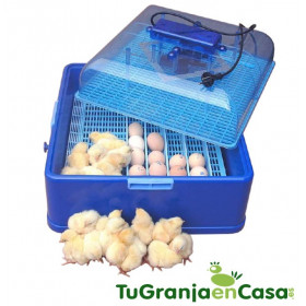 Incubadora AF24 CORTI Sin Volteador (24 huevos)