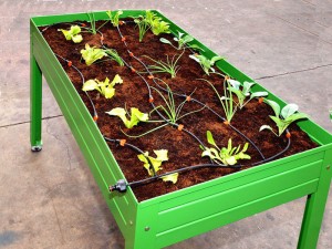 Mesas de cultivo