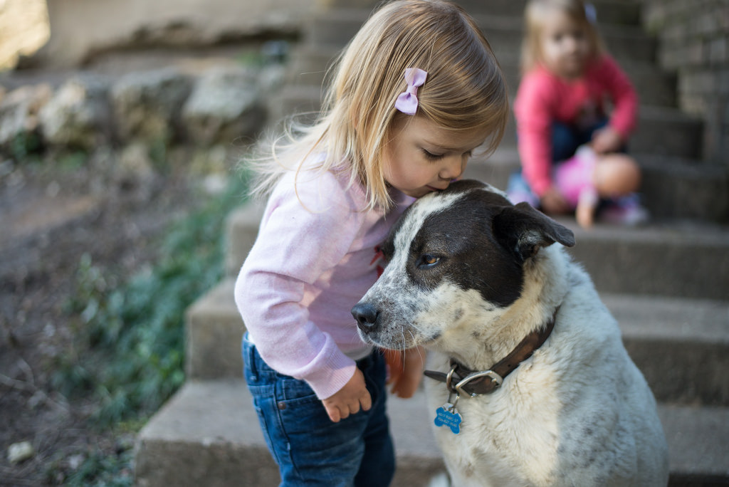 Niños y perros