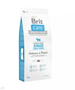 Brit Grain Free Junior Large Salmon&Potato