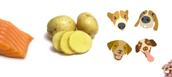  Piensos de Salmón y Patata para perros – 17 Opciones para 2018