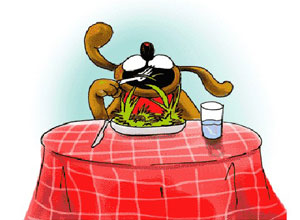 Alimentos para perros