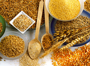 Cereales para la alimentación de gallinas y conejos