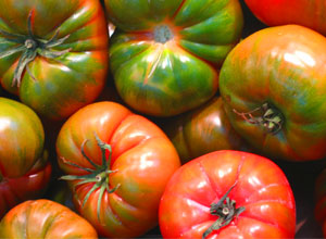 Horticultura autosuficiente