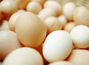 Propiedades de los huevos de gallinas