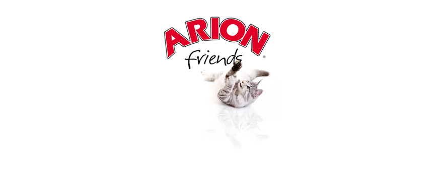 Pienso Arion Friends para Gatos