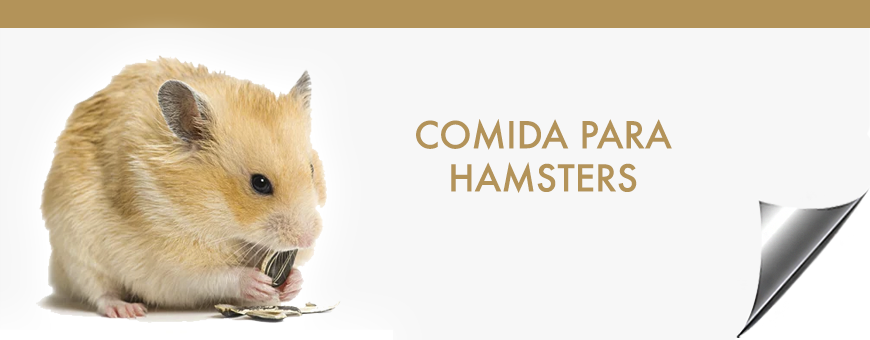 Comida para Hamsters